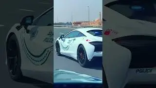 Литвин УВИДЕЛ ПОЛИЦЕЙСКИЙ СПОРТКАР В ДУБАЕ ! 😎 