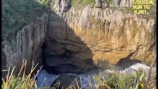 Punaikaki, Christchurch,Newzealand | Everything Inside the Planet