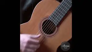 the WHOLE BAND IN ONE GUITAR 🎸 🎹  🥁 | Salvatore Fortunato | Siccas Guitars | 