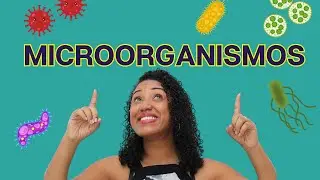 Aula sobre Microorganismos  | Ensino Fundamental