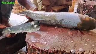 Rohufish cutting || Rough blade in action|| clean chopping|| fishmarket|| south india 🇮🇳||india fish