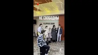 Не СВОБОДНЫ (Малиновый звон)