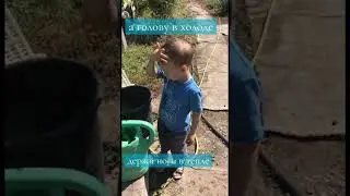 26 августа 2024 г.