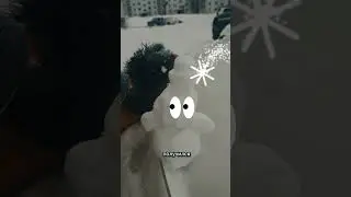 Ежи - говороны #чипичипичапачапа