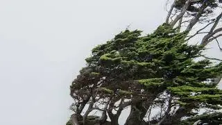 Релаксиращ Звук От Вятър / Приспиване На Бебе / Розов Шум / Relaxing Wind Sound / Meditation / Noise