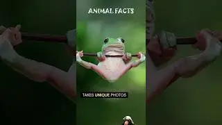 Animal FACTS You Need To Know! #shorts