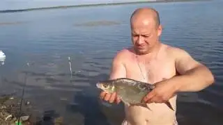 Супер фидер