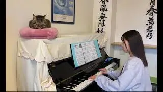 木枯しに抱かれて　　小泉今日子　　　　　　　　ピアノ　〜猫と一緒〜
