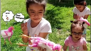 ZEYNEP CİVCİV İLE EĞLENCELİ VAKİT GEÇİRİYOR #keşfet #anime #reels #youtube #baby #video #videos