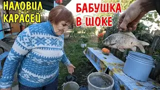 НАЛОВИЛ КАРАСЕЙ В ДЕРЕВНЕ / БАБУШКА С АНГЕЛИНОЙ ПРИГОТОВИЛИ УЖИН / ПОЖАРИЛИ РЫБУ / РЫБАЛКА / ВЛОГ