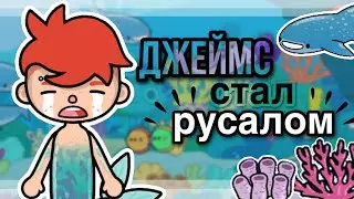 джеймс стал РУСАЛОМ?🧜‍♂️😨🌊// русалки в тока бока// sireana// toca life world