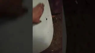 жестянка газ 21 Волга