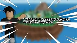 Types of players in Natural disaster survival