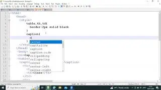 How to add table caption using caption tag in HTML | HTML