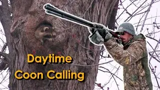 Daytime Raccoon Calling | Big Changes to Iowa's Hunting Season