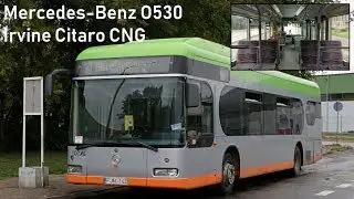 Mercedes-Benz O530 Irvine Citaro CNG #102 | Klaipėda