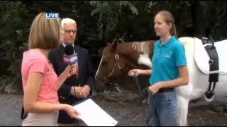 093014PAHorseShow copy