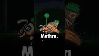 Did You Know That In TERRARIA...