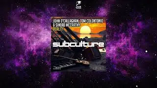 John O'Callaghan, Tom Colontonio & Sinéad McCarthy - Reality (Extended Mix) [SUBCULTURE]