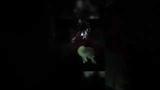 Dredge locker timing #dbd #deadbydaylight #dbdgameplay #deadbydaylightmoments #dbdloops #dbdfunny