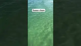 Northeast winds have cleaned up the water in Jax beach! #florida #saltlife #fishing