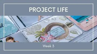 Project Life. Week 3