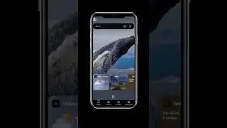 ChatGPT - бесплатно, без регистрации и смс