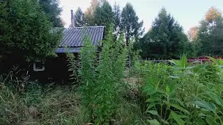 Начало положено. Едем в свой дом. Осваиваем участок.