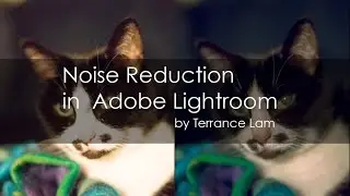 Noise Reductions in Adobe Lightroom - E0006