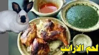 فوائد لحم الارانب للإنسان اعرف مميزات اللحم