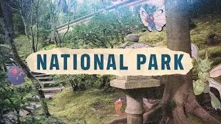 VGM #207: National Park (Pokemon S/G/C) Ambient Synth Cover