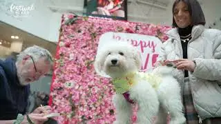 Festival Place  Valentines Day Puppy Love 2023