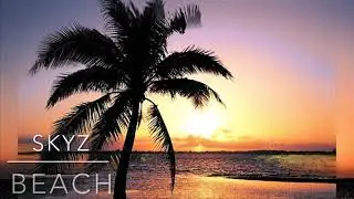 SKYZ-BEACH