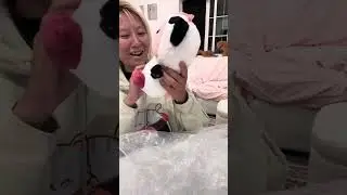 I won so many plushies 🥹