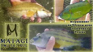 MATAGI TWJ - 562XUL. Зеленушки.