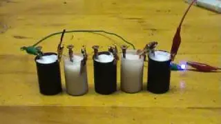 5 Cell damp salt battery