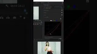 DESCUBRE Como Usar El Panel de Curvas de Color en Adobe Premiere Pro 2022