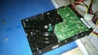 Western Digital WD800JD weird sound
