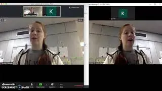 Create a Poll in Zoom (in Meeting)
