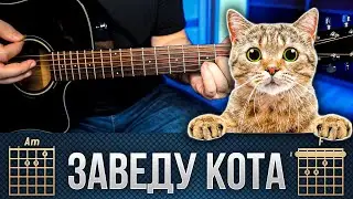 АСАФАТОВ – Заведу кота (акорди на гітарі)