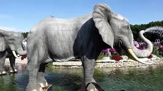 УДИВИТЕЛЬНЫЙ ДУБАЙ / DUBAI MIRACLE GARDEN
