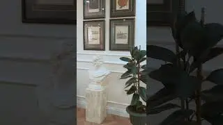 OrtoCare Clinic'e Hoş Geldiniz