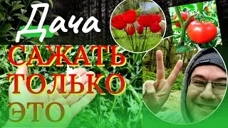 Самый Холодный Май на даче, идёт снег в мае. Обзор дачного участка во время весеннего снегопада