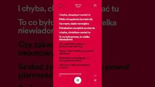 #lyrics #spotify #paluch #music #polskamuzyka #polska #yt #viralshorts #shorts #one