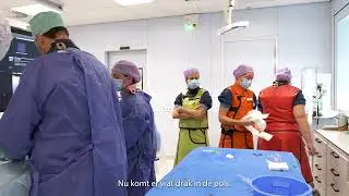 Dotterbehandeling (PCI)