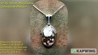 Wild Horse Magnesite Gemstone#respect #shortsviral2023