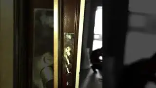Бюджетная входная дверь стоимость 200$