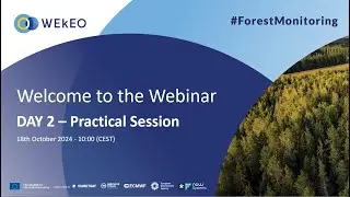 WEkEO Forest Monitoring - Session #2 - 18 October 2024