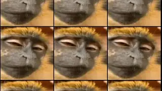So far of @Fudgington_Brownie and my animaton of crouch only challenge
