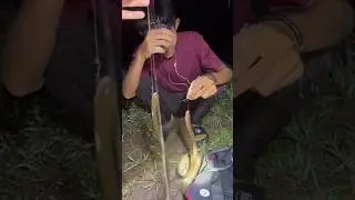 Mancing lubang belut malam-malam 🗿 #iyanxyz #mancing #petualang #mancingbelut #ngurekbelut